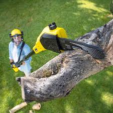Lawn Drainage Solutions in Plano, TX