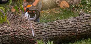 Best Lawn Irrigation Installation and Maintenance  in Plano, TX